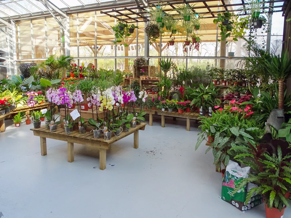 Jardin extérieur avec massif de rosiers en pleine floraison