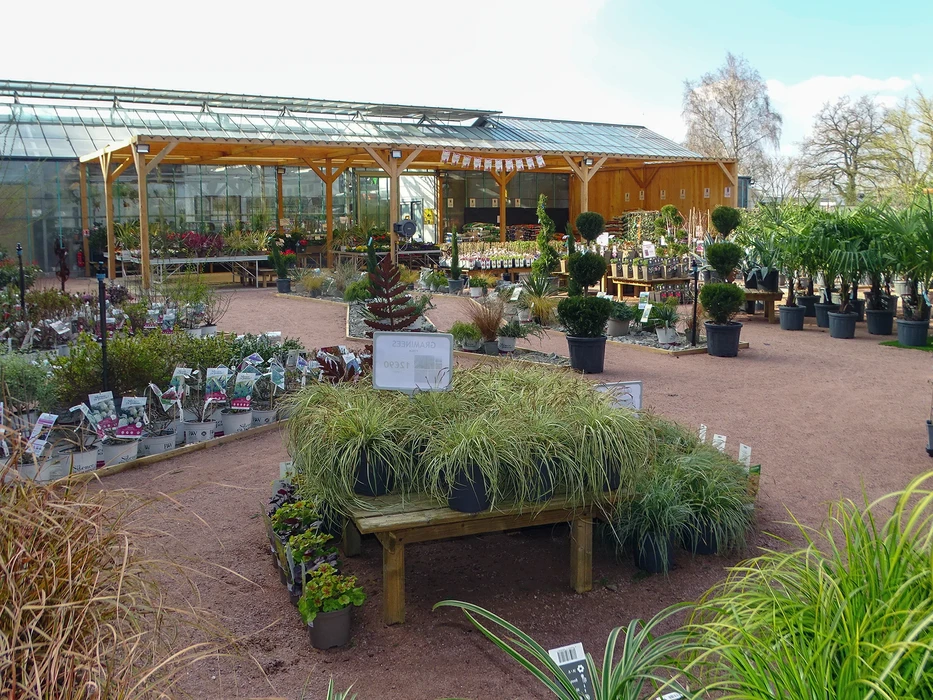 Femme jardinière souriante travaillant dans un jardin fleuri, portant chapeau de paille et chemise à carreaux, penchée vers des fleurs oranges en pleine floraison