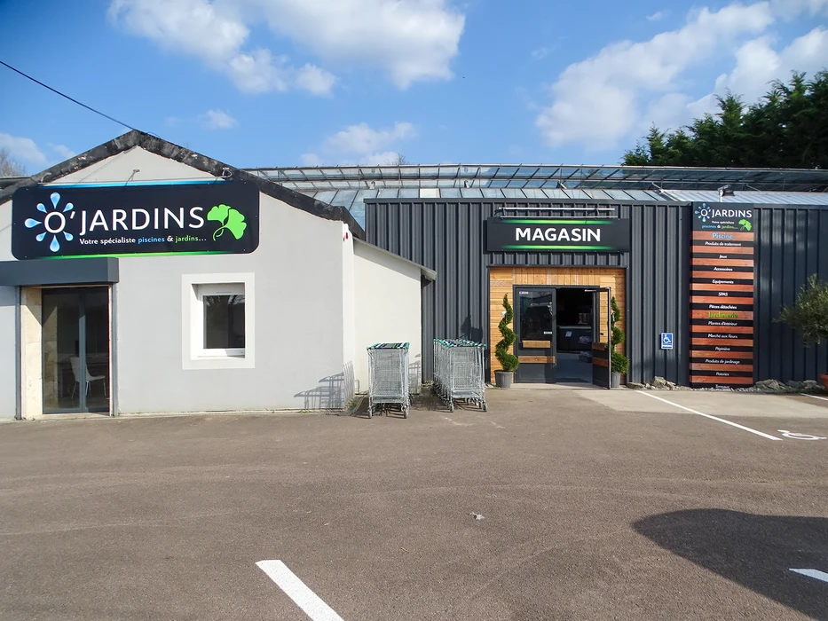 Joyeuse femme mince en maillot de bain rouge et shorts en denim pos&eacute;s sur une cl&ocirc;ture de quai en bois et regardant la cam&eacute;ra &agrave; la lumi&egrave;re du soleil sur les palmiers